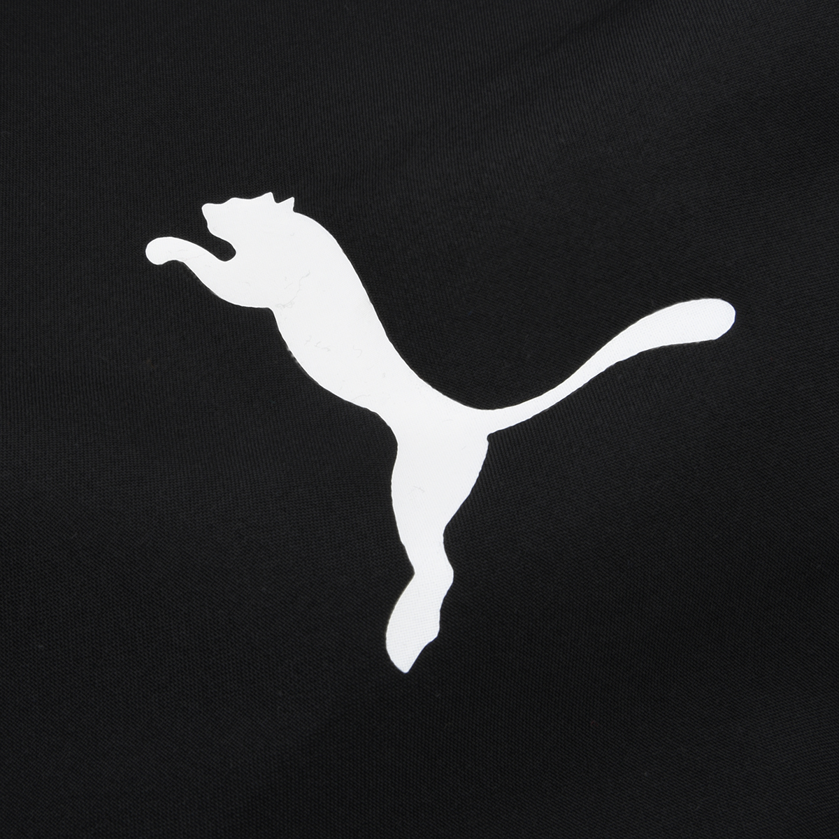 Pantal&oacute;n F&uacute;tbol Puma teamRISE Sideline Hombre,  image number null