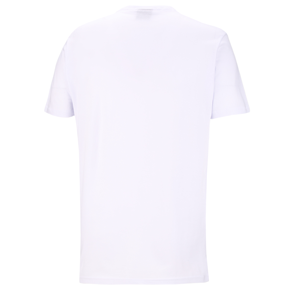 Remera Canterbury Kiwi Pinted,  image number null