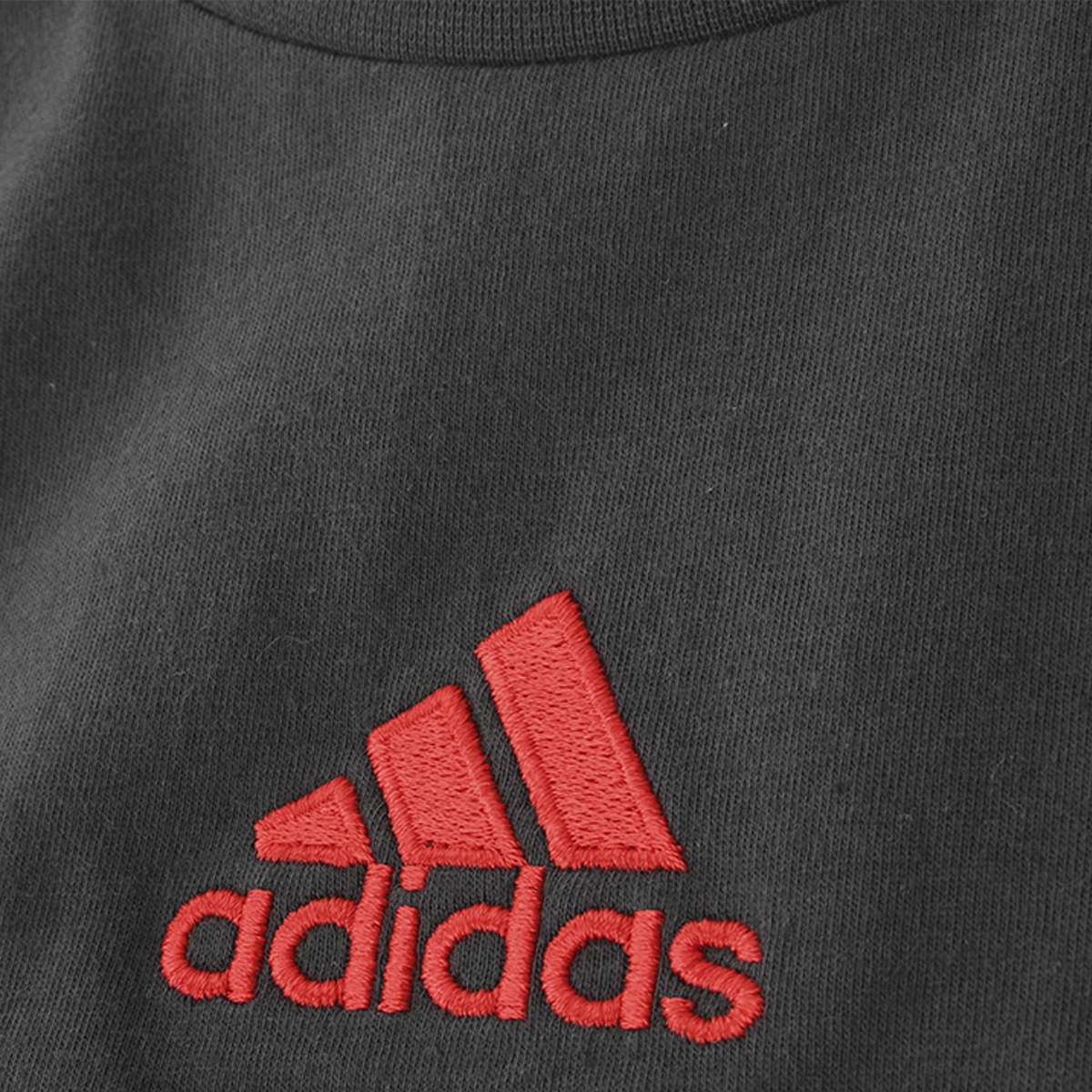 Remera River Plate adidas 23/24 Hombre,  image number null