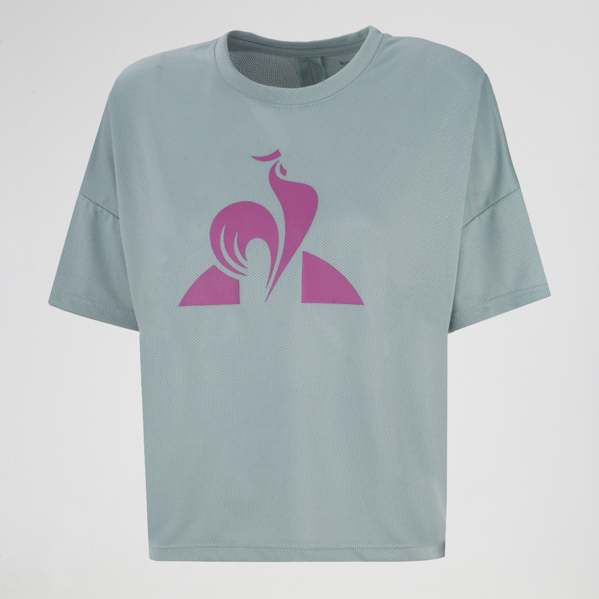 Remera Entrenamiento Le Coq Sportif Hole Mujer,  image number null