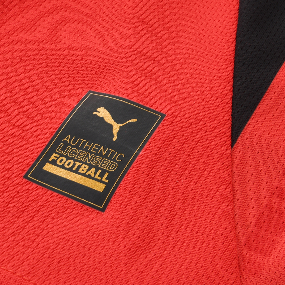 Camiseta Milan Puma Titular 2024 Hombre,  image number null