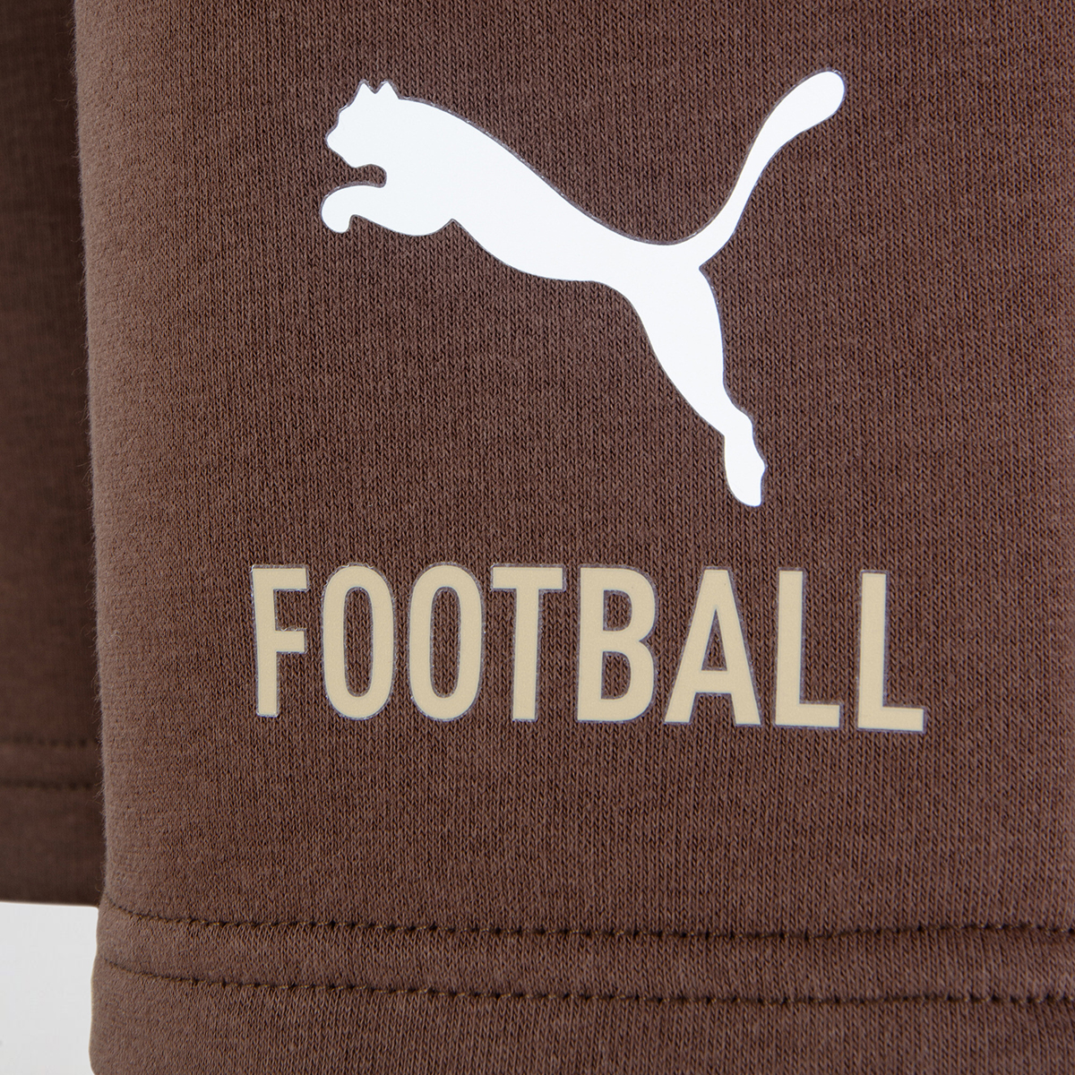 Short Platense Puma FTBLculture 26 27 Hombre,  image number null