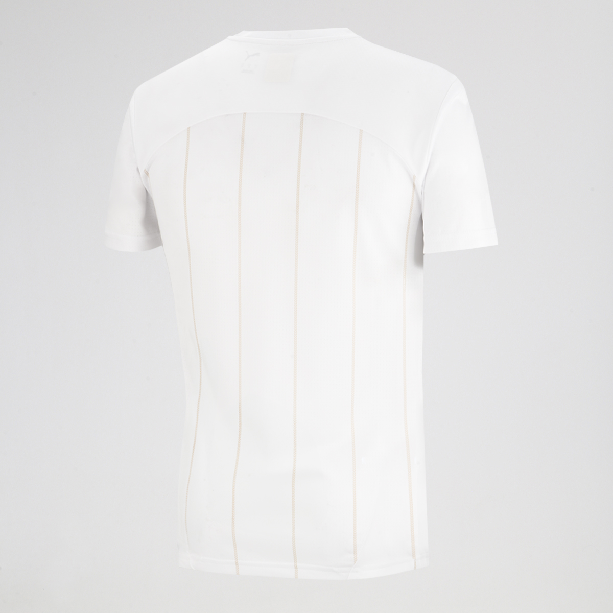 Camiseta Milan Puma Pre Partido 2025 para Hombre,  image number null