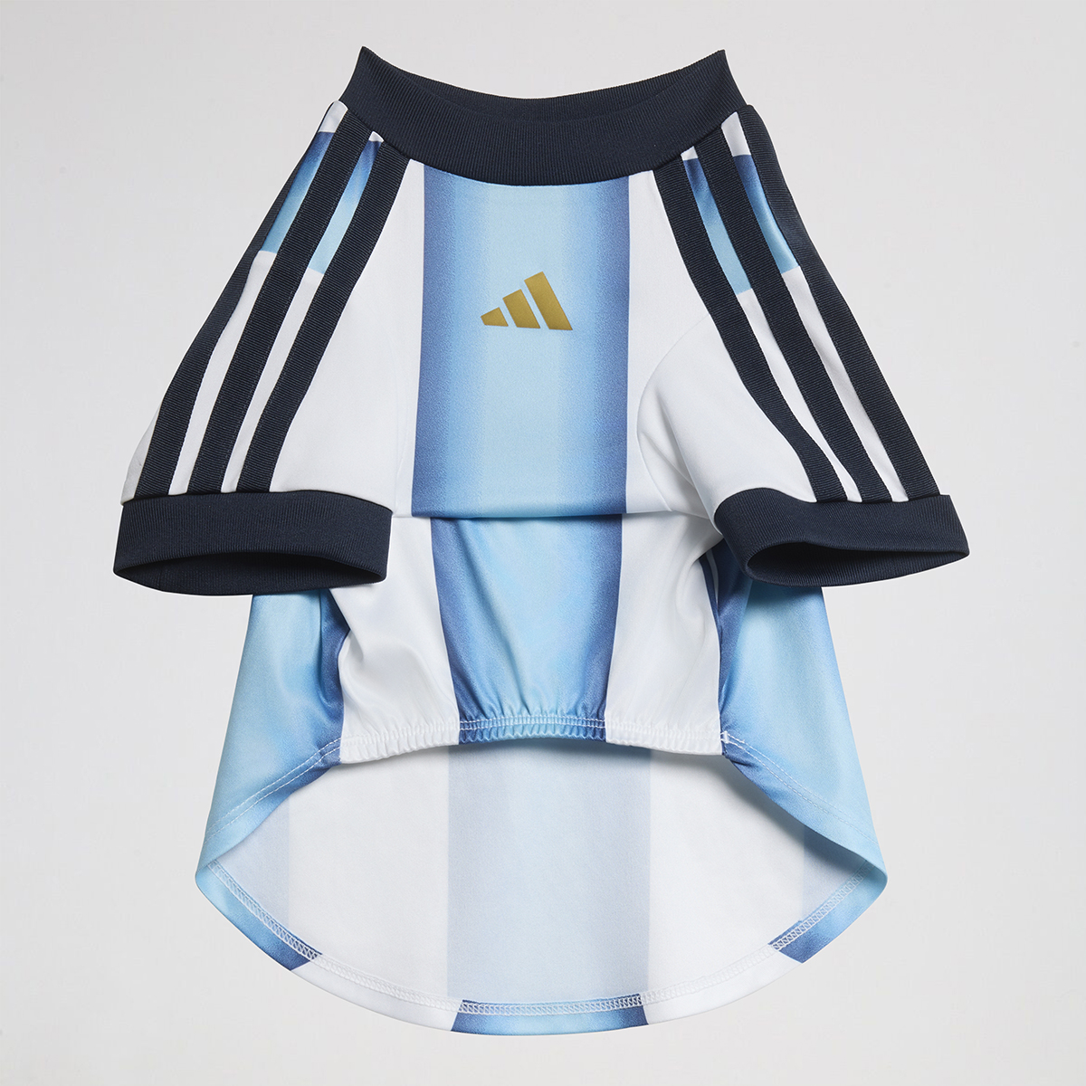 Camiseta Argentina adidas 26 para Mascota,  image number null