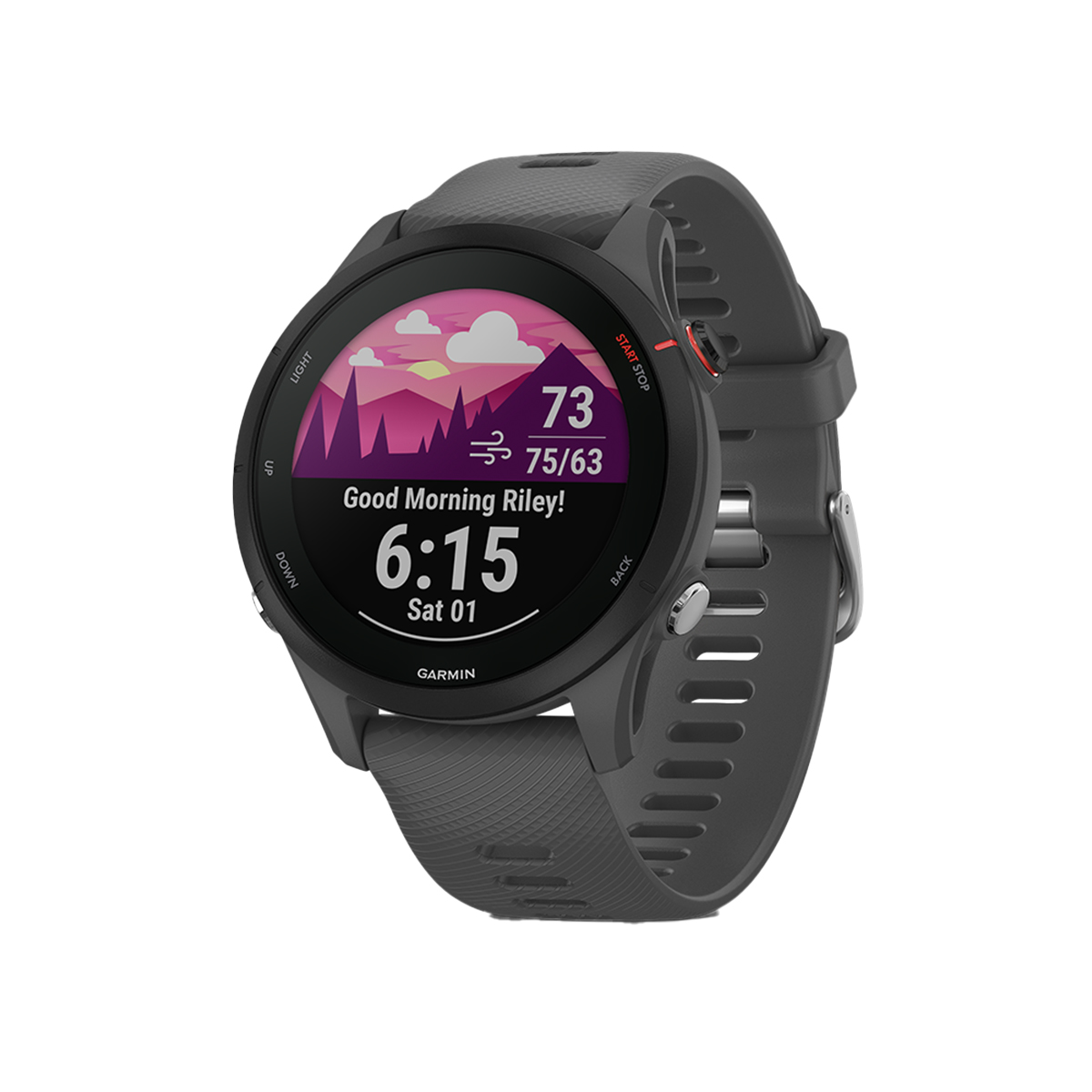 Reloj Garmin Forerunner 255 Music,  image number null