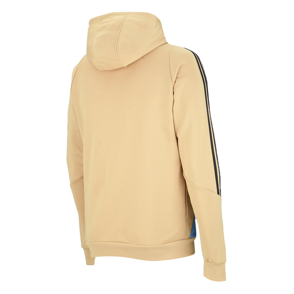Buzo Selección Argentina adidas 2024 Hombre Poliéster,  image number null