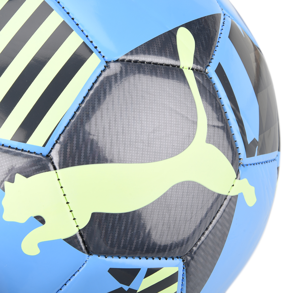 Pelota Puma Park,  image number null