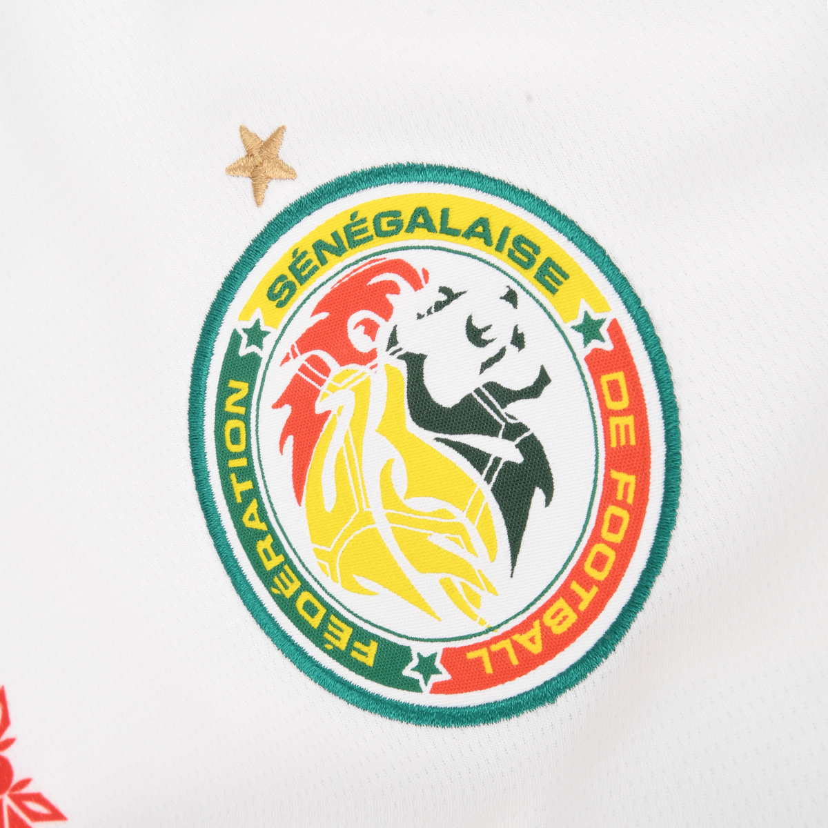 Camiseta Puma Senegal Titular 2025 para Hombre,  image number null