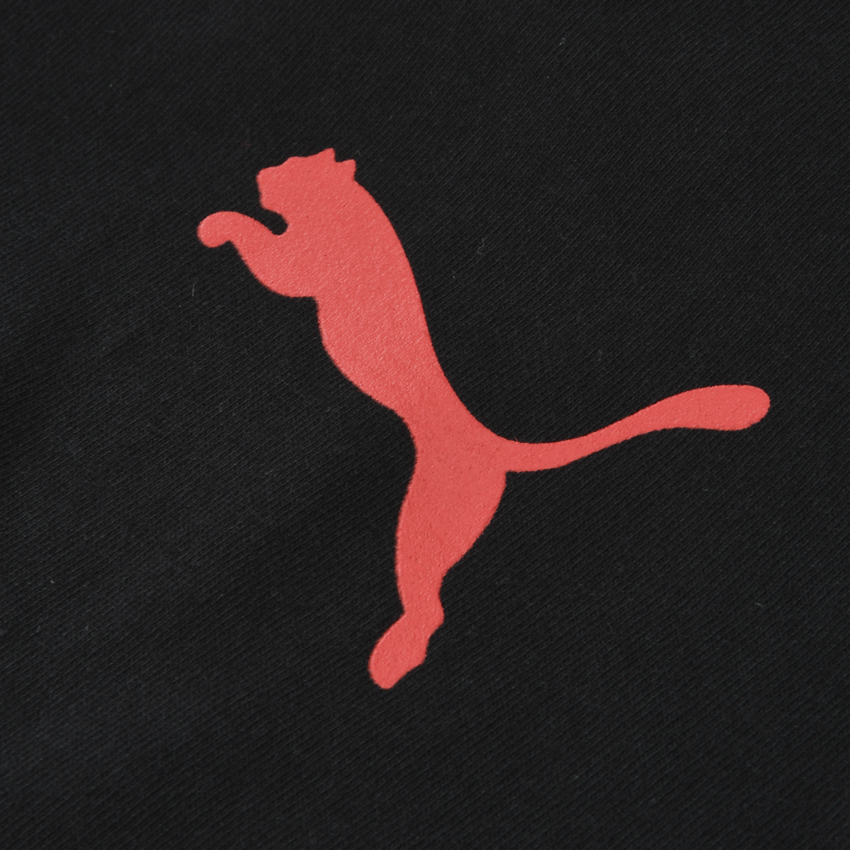 Remera Independiente Puma Culture 2026 Hombre,  image number null