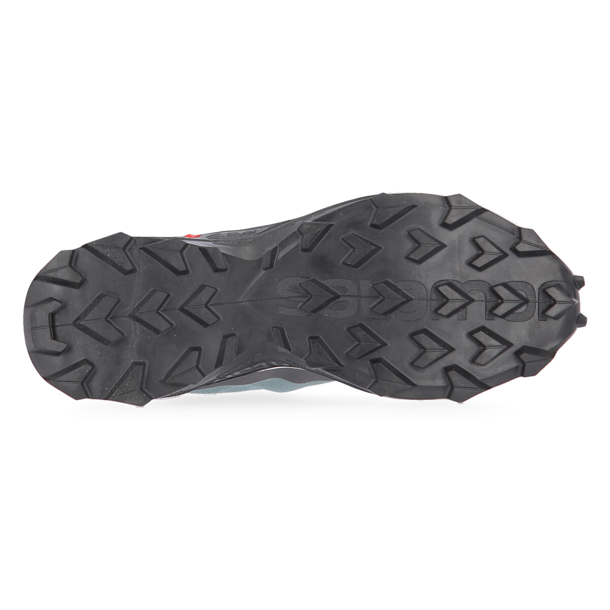 Zapatillas Salomon Alphacross 3,  image number null