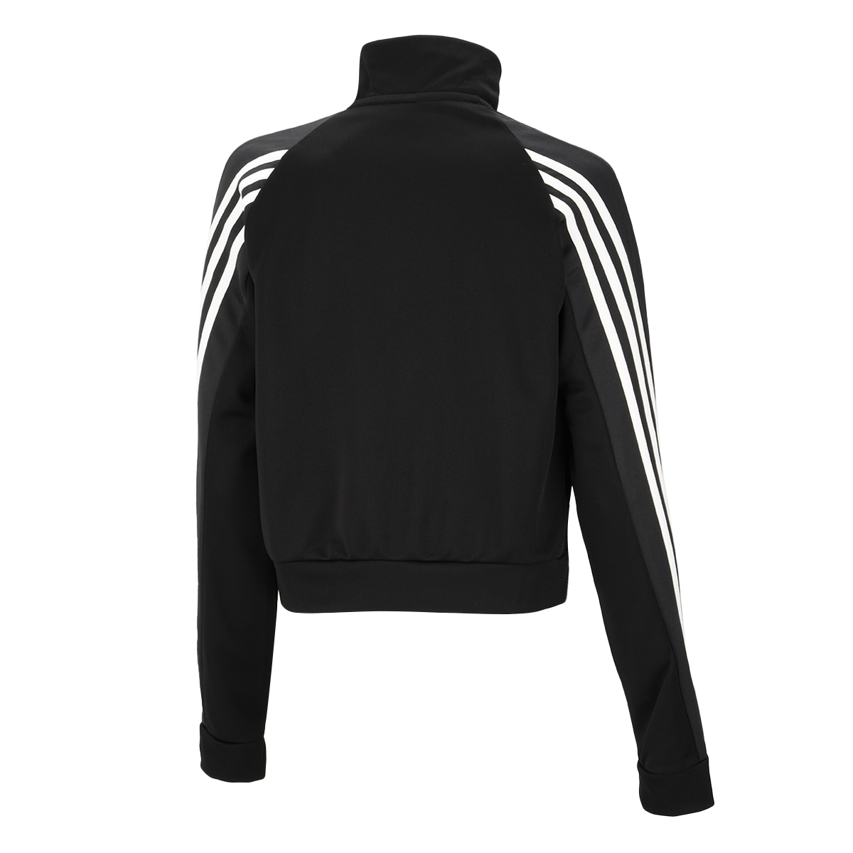Conjunto adidas Sportswear Teamsport,  image number null