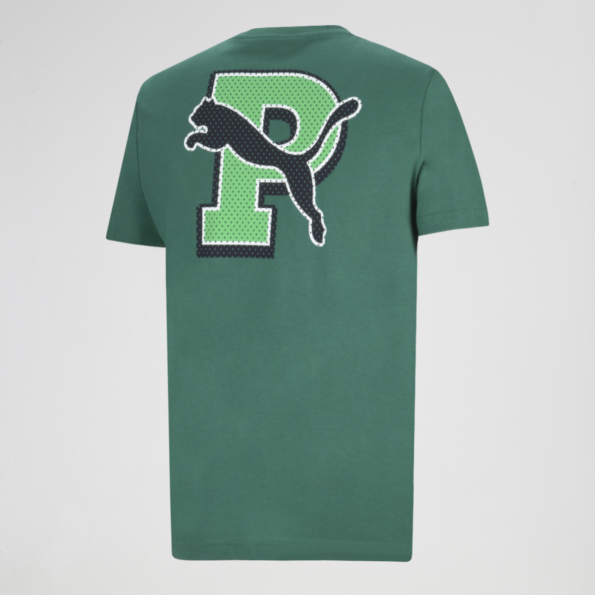 Remera Puma Graphic Varsity Hombre,  image number null