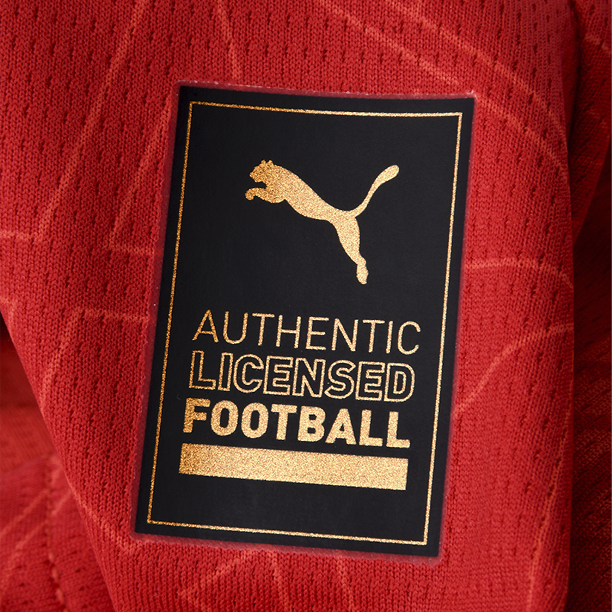 Camiseta Marruecos Puma Titular 2025 de Hombre,  image number null