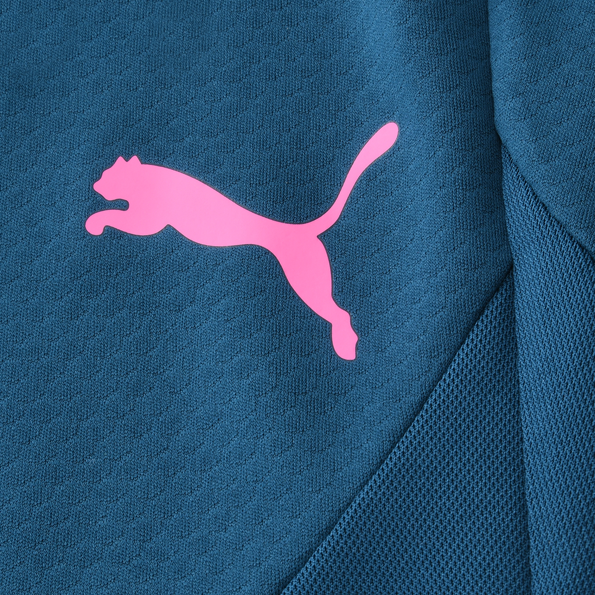 Pantalón Fútbol Puma IndividualFINAL Hombre,  image number null