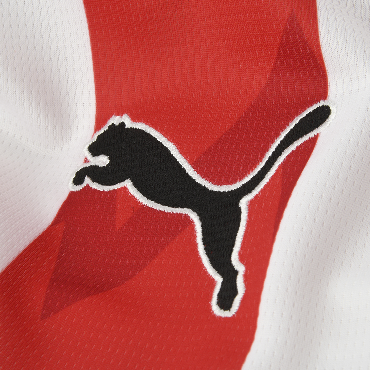 Camiseta PSV Eindhoven Puma Titular 25/26 Hombre,  image number null