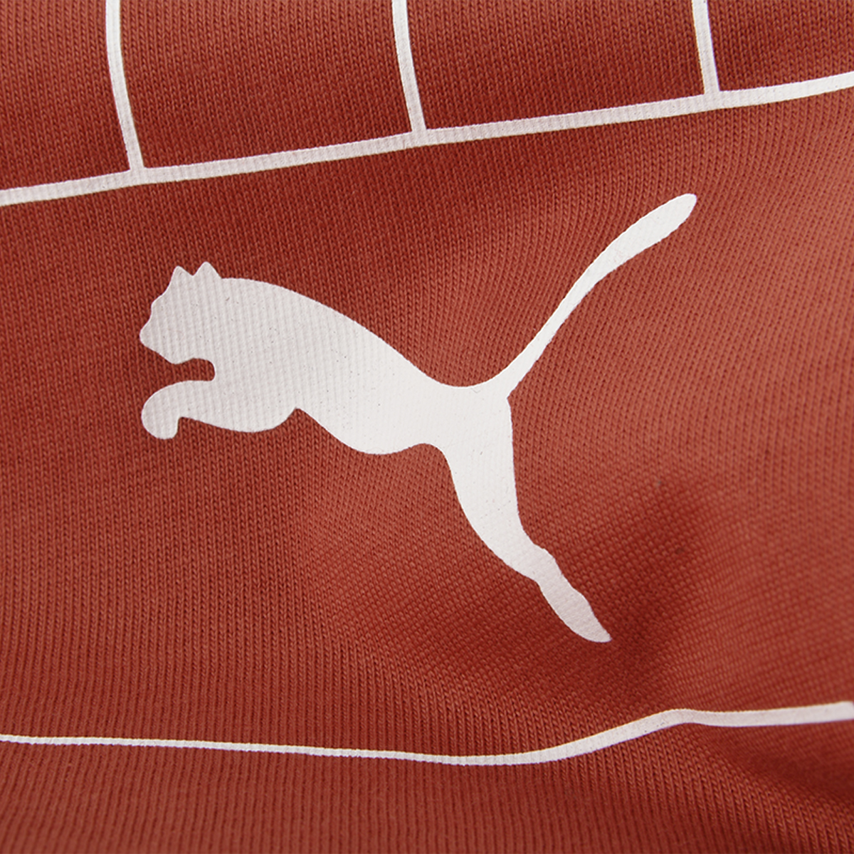 Remera Puma Graphics Hombre,  image number null