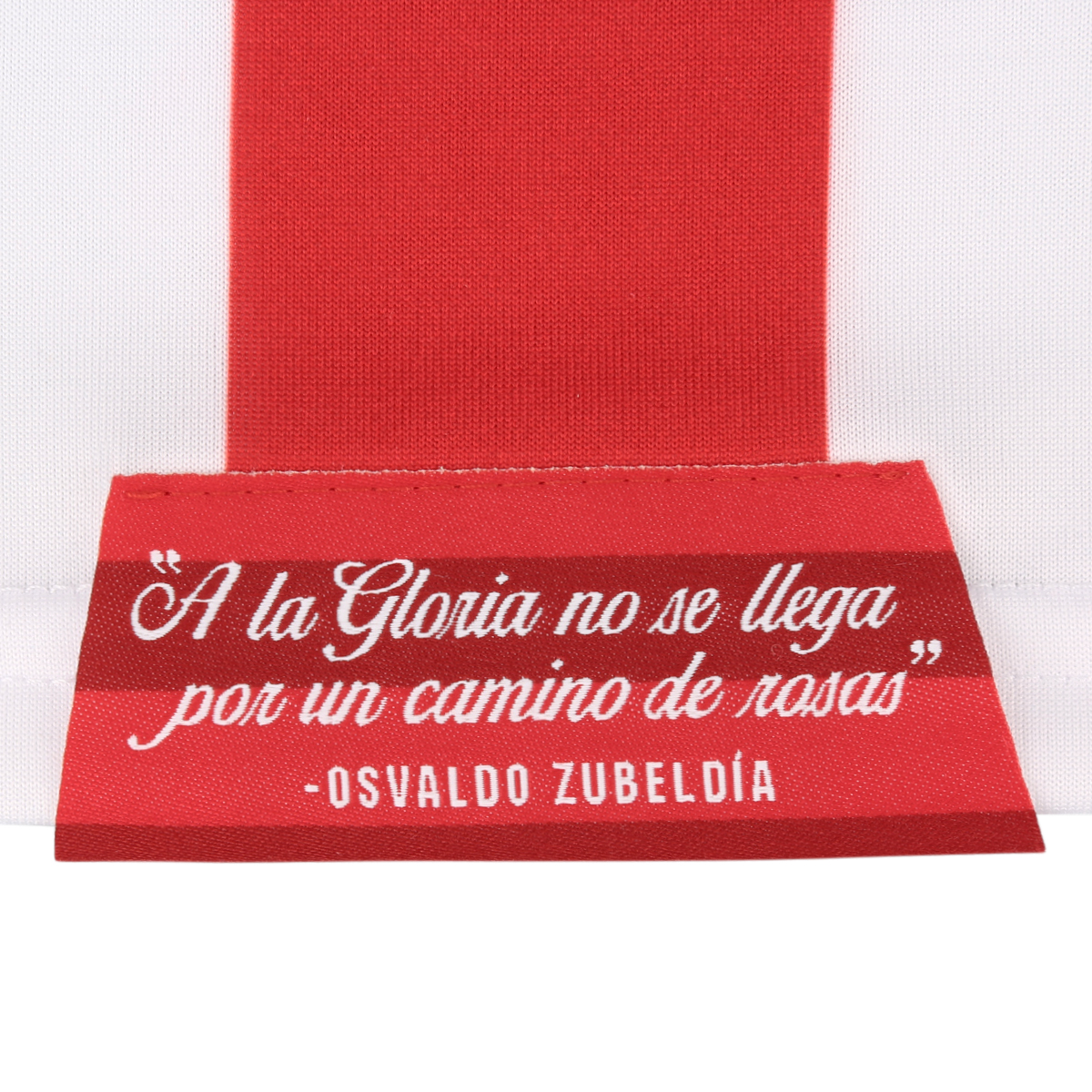 Camiseta Under Armour Estudiantes de La Plata Kids HOME 2021,  image number null