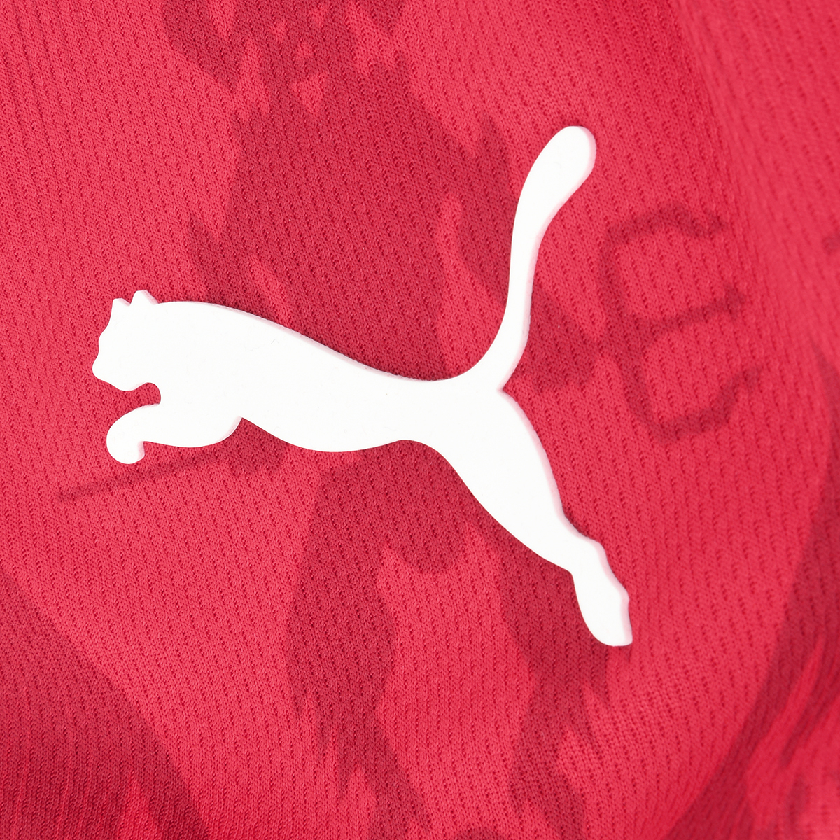 Camiseta Independiente Puma Titular 2024 Hombre,  image number null