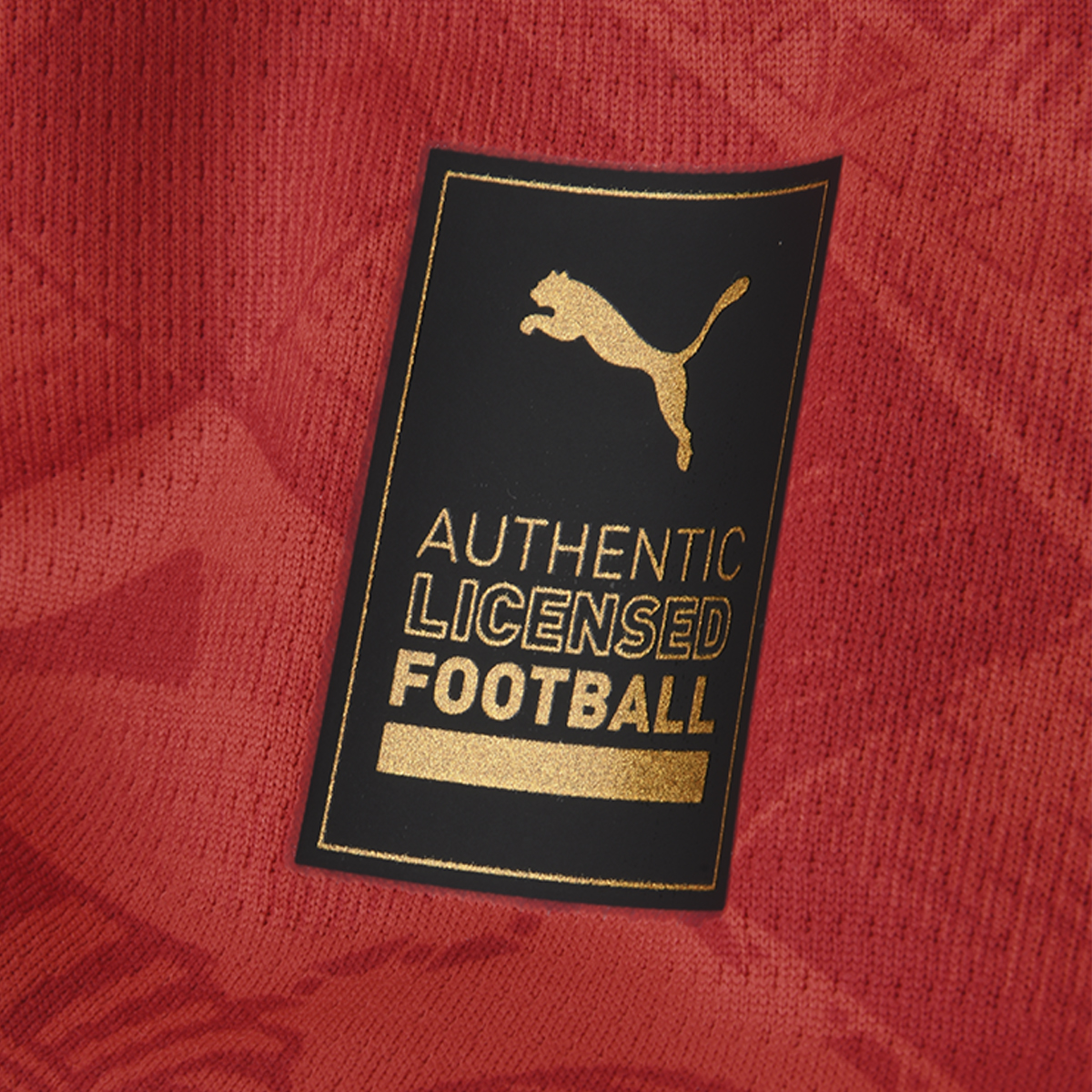 Camiseta Egipto Puma Titular 2025 de Hombre,  image number null