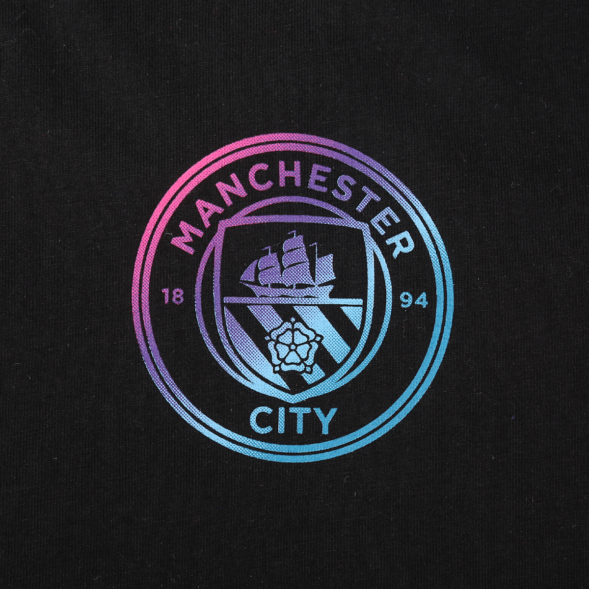 Remera Puma Manchester City FC Ftblculture,  image number null