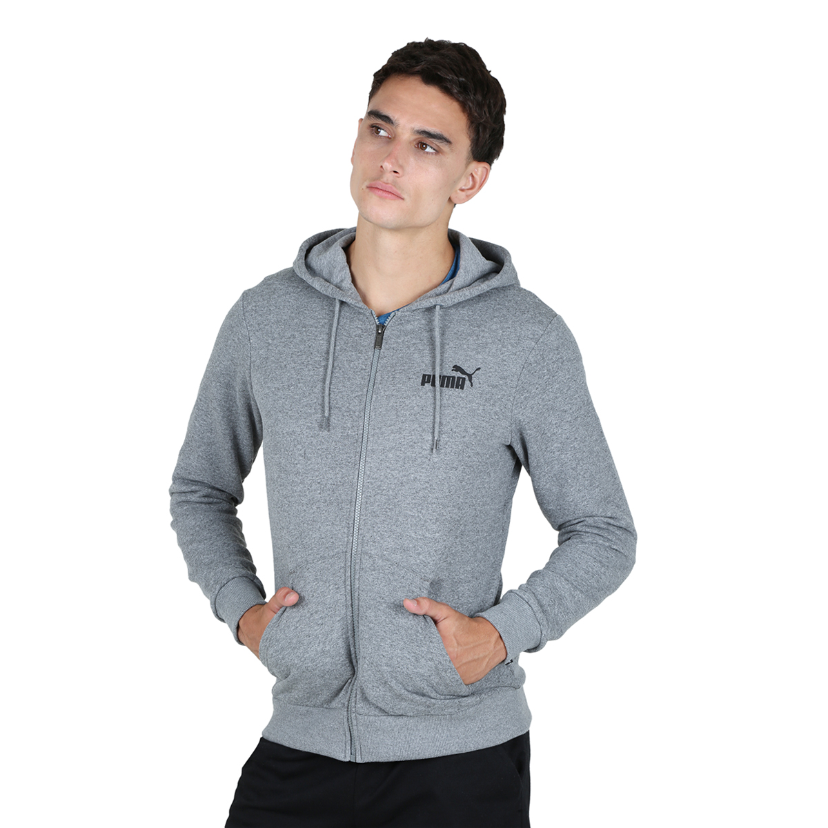 Campera Puma Essentials Small Logo Fz Tr,  image number null