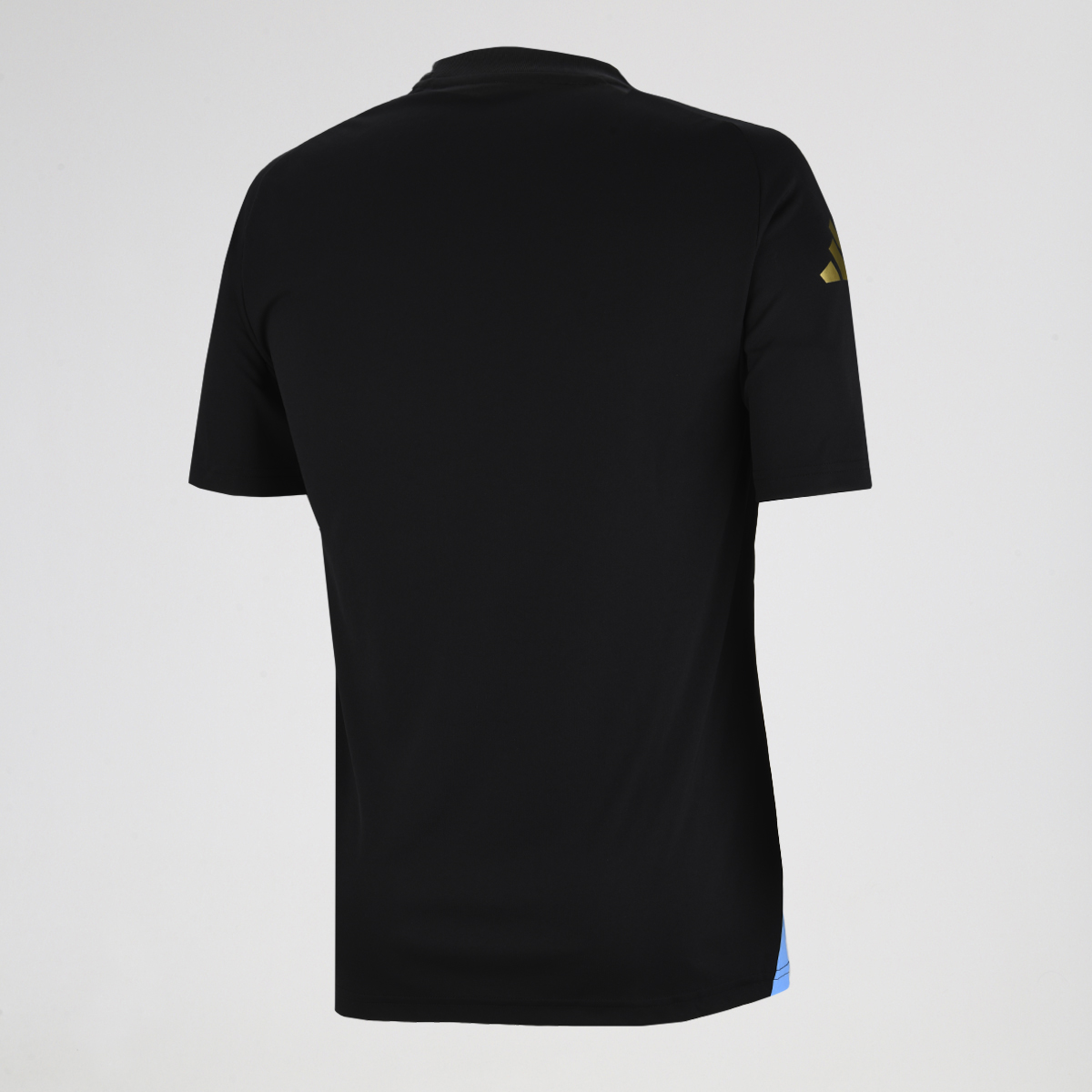 Camiseta Argentina adidas Pre-partido 2024 Hombre,  image number null