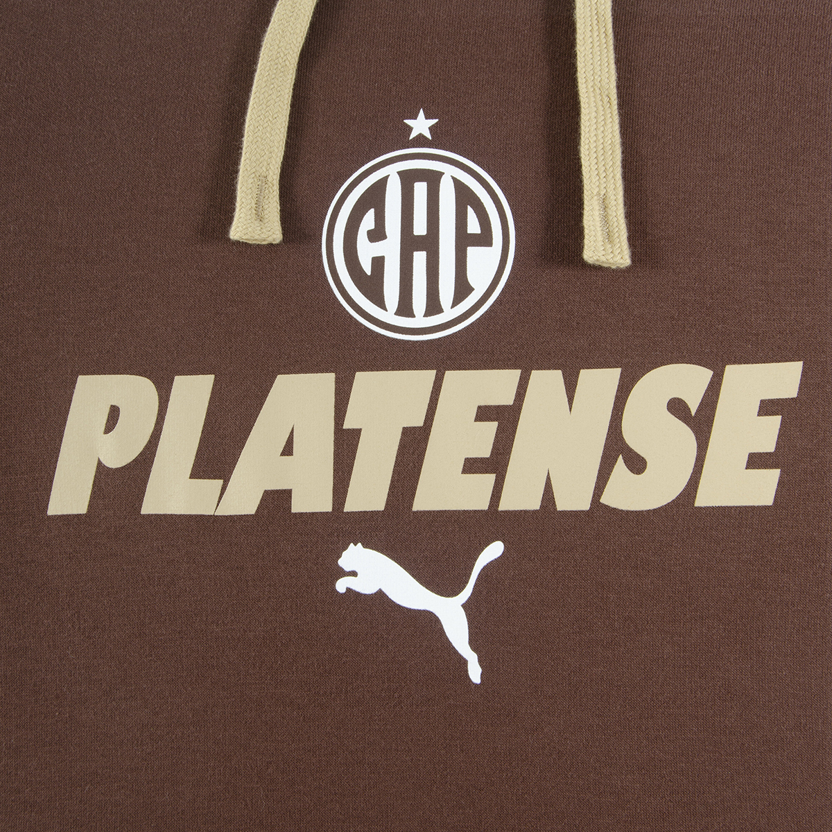 Buzo Platense Puma FTBLculture 26 27 Hombre,  image number null