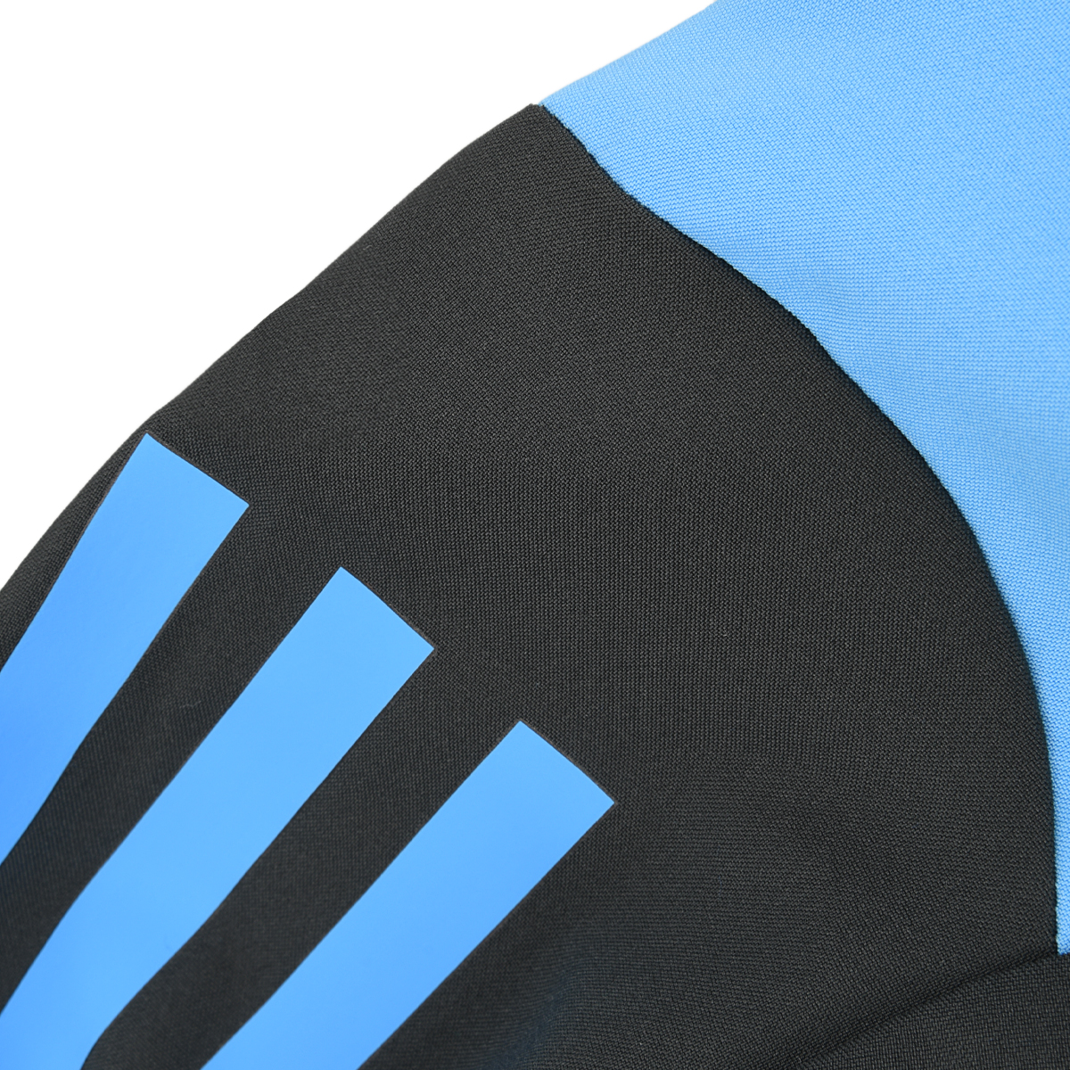 Buzo Fútbol adidas Argentina Presentación 24/25 Hombre,  image number null