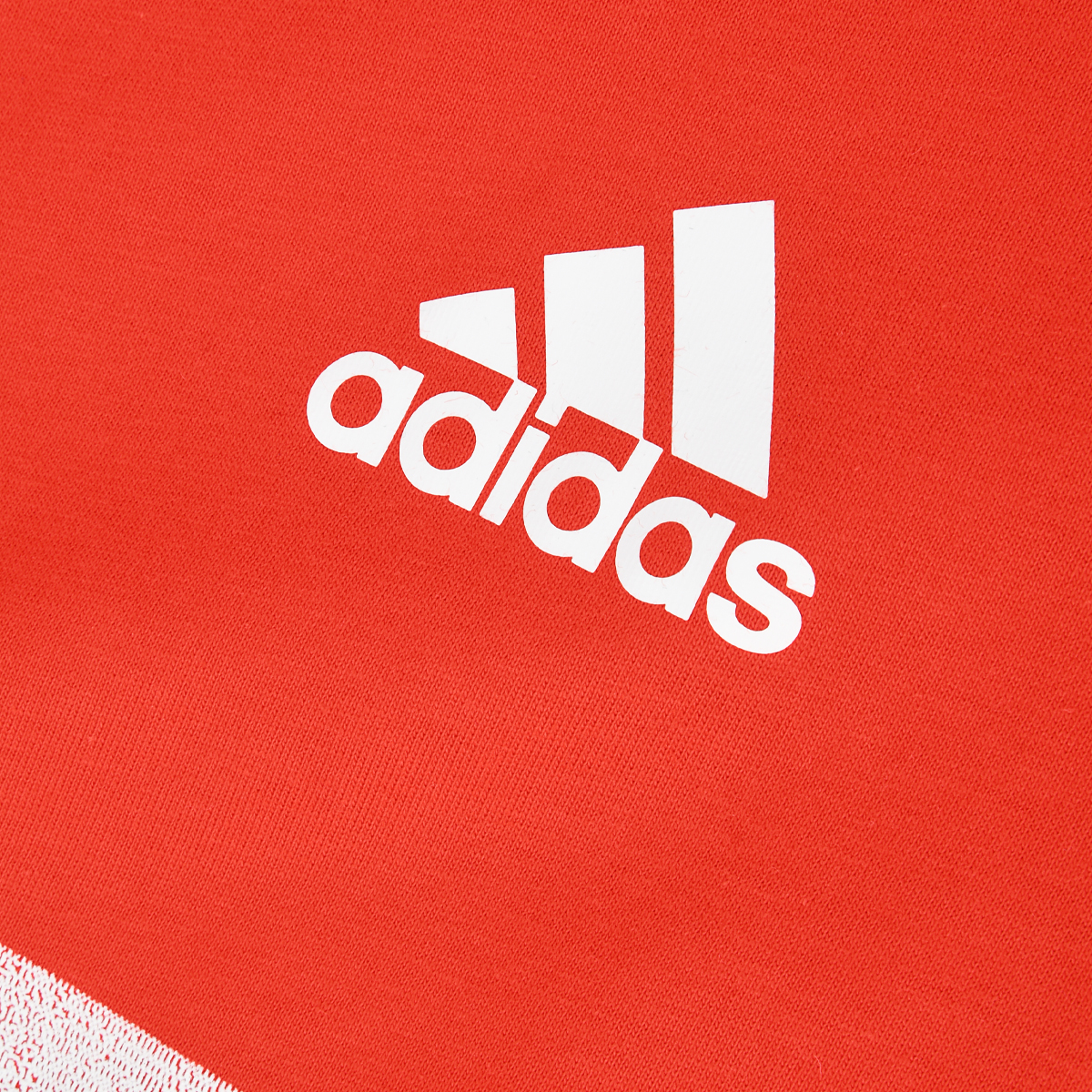 Remera adidas River Plate Graphic Hombre,  image number null