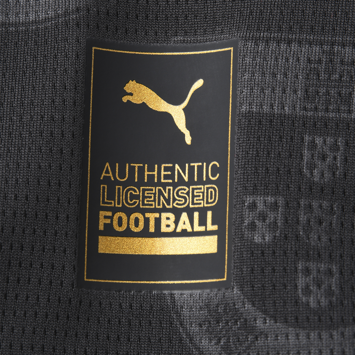 Camiseta Portugal Puma Alternativa 25/26 Hombre,  image number null