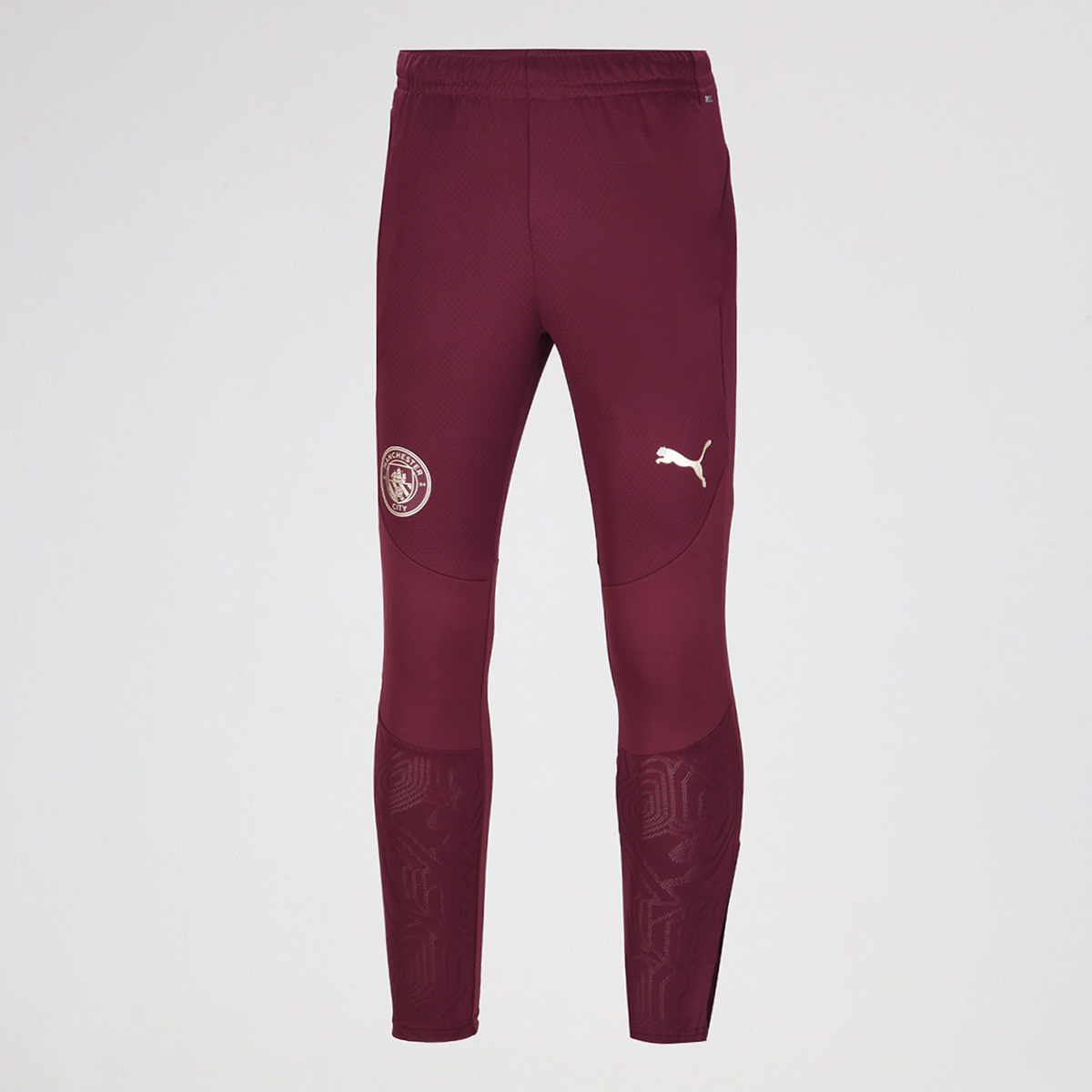 Pantalón Manchester City de Entrenamiento Puma 2025 Hombre,  image number null