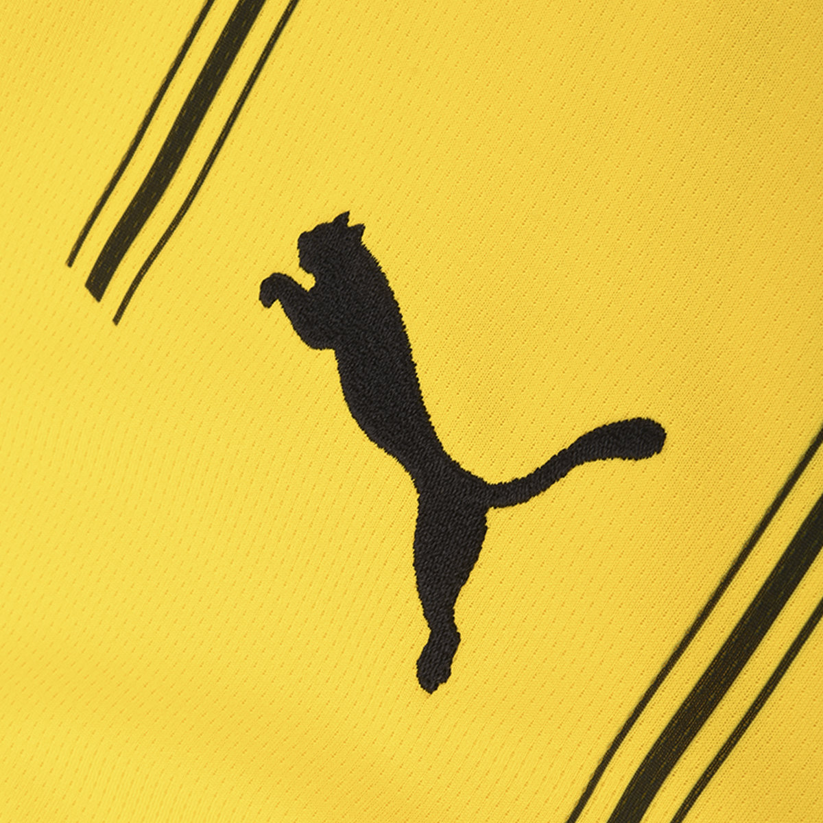 Camiseta Borussia Dortmund Puma 24/25 Hombre,  image number null