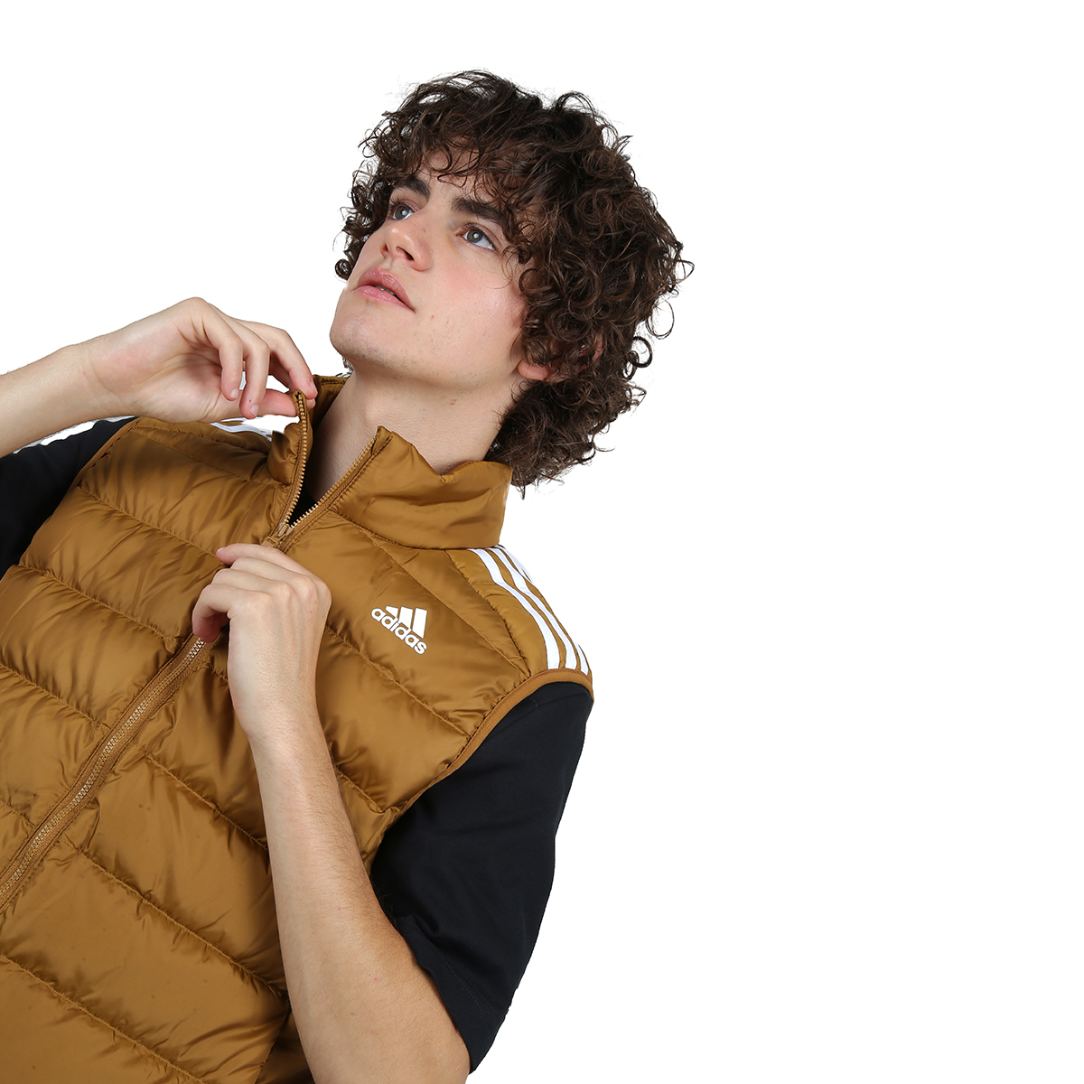 Adidas chino cheap moreno direccion