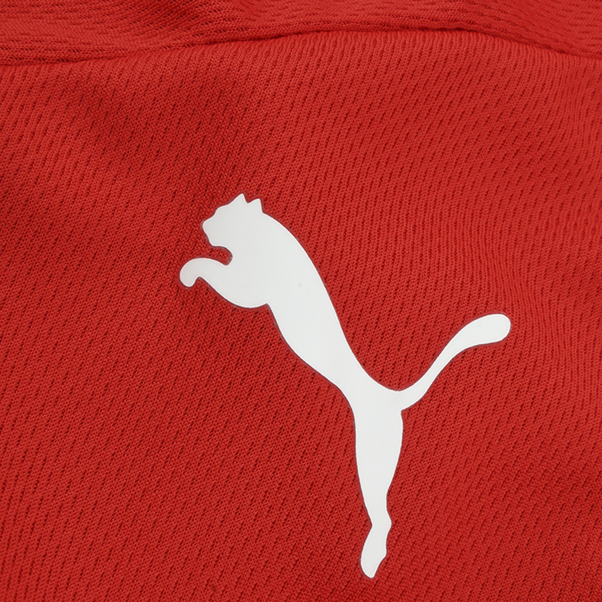 Camiseta Puma Independiente Titular 2024 Hombre,  image number null
