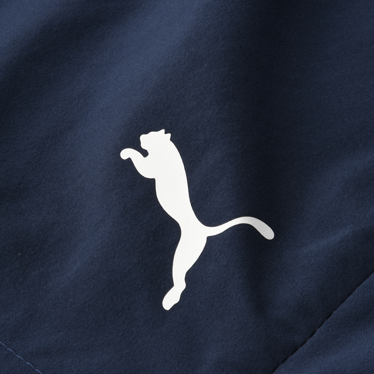 Short Entrenamiento Puma Tad Essentials 5 Hombre,  image number null