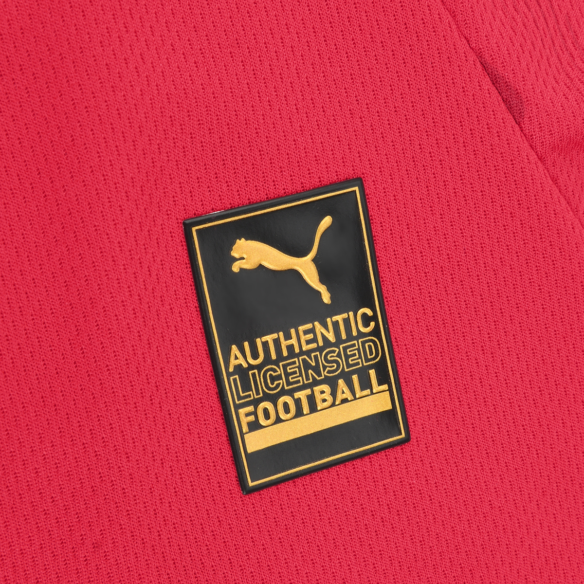 Camiseta Independiente Puma Titular 2024 Hombre,  image number null