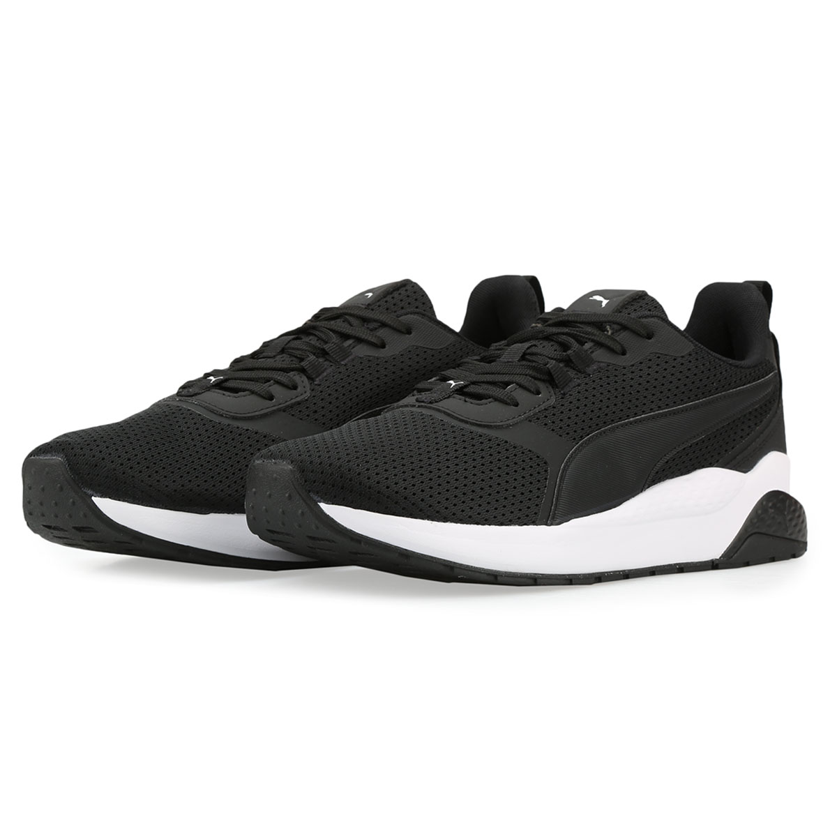 Anr puma 2025