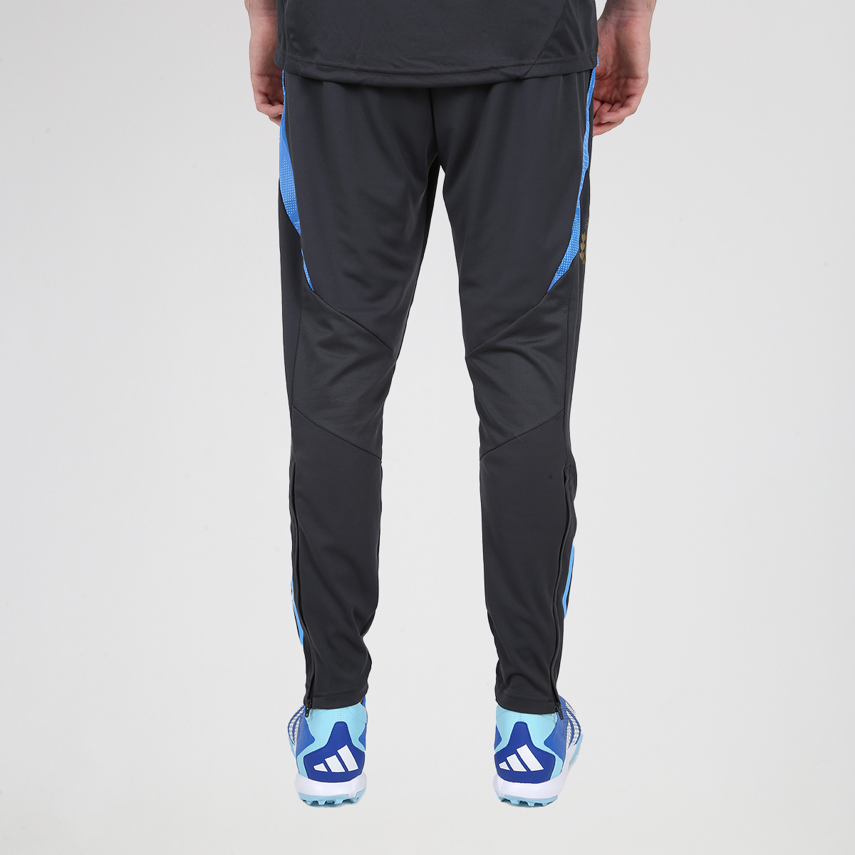Pantalon Futbol adidas Argentina Tiro Entrenamiento 24 Hombre Dexter