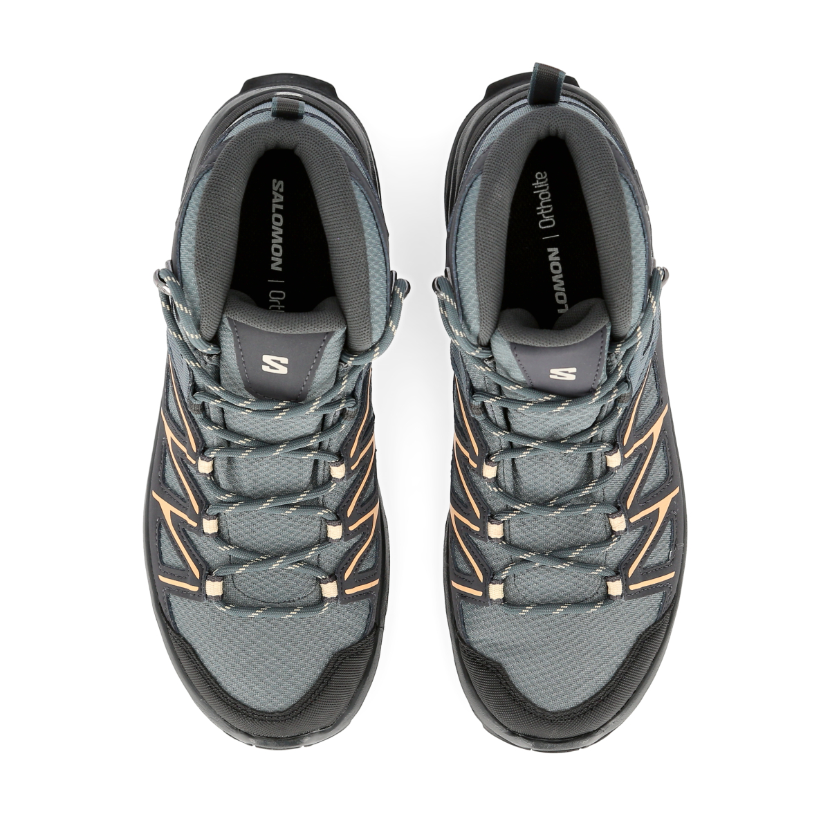 Zapatillas Salomon Daintree Mid Gtx W Mujer Dexter