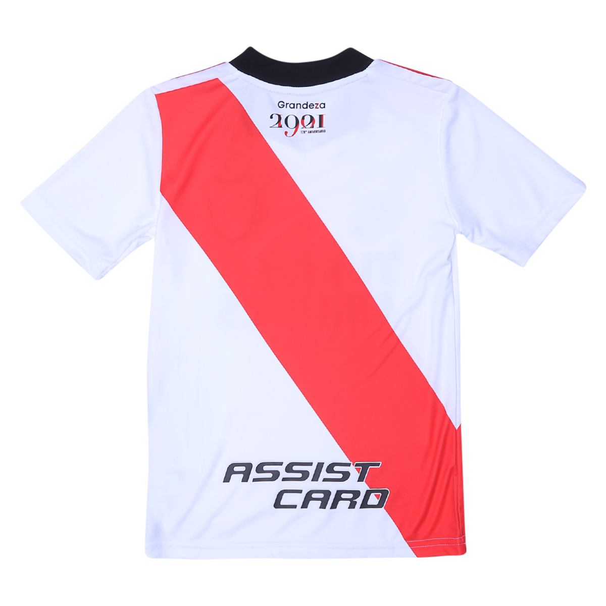 Camiseta adidas River Plate 120 Años,  image number null