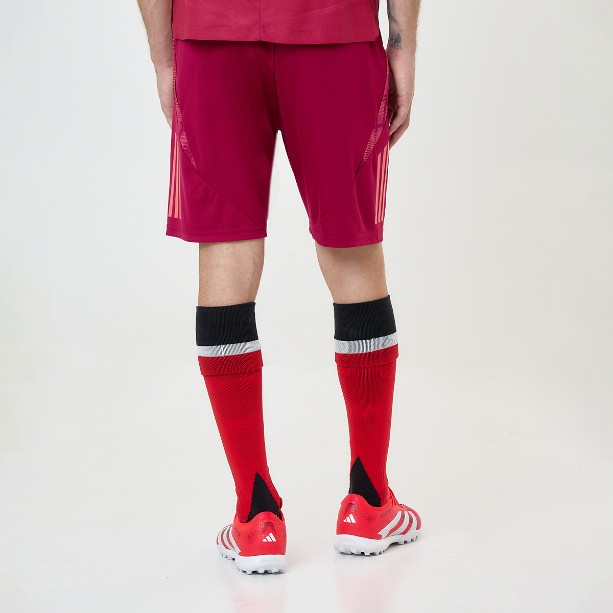 Short Fútbol adidas River Plate Entrenamiento 24/25 Hombre,  image number null