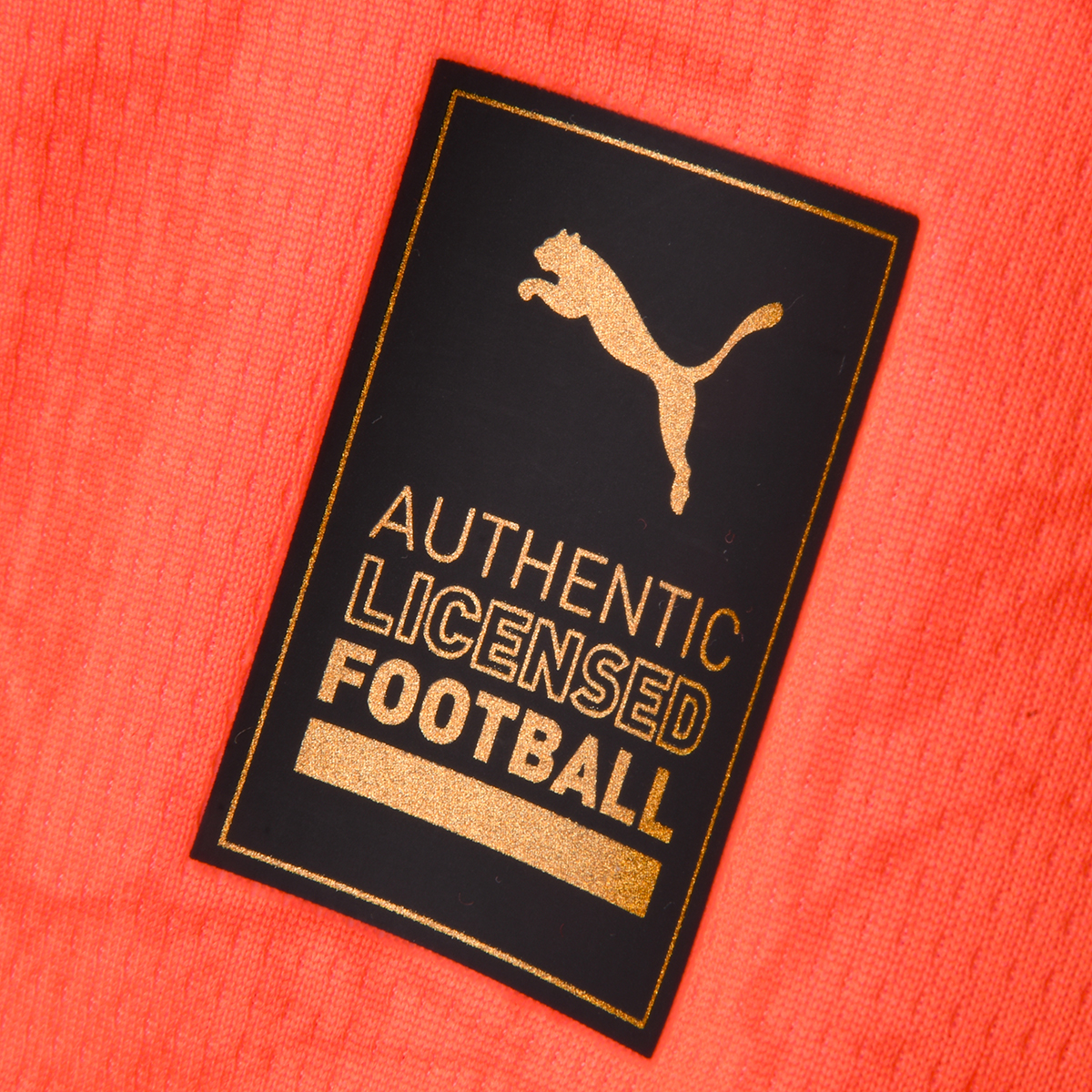 Camiseta Manchester City Puma 2025 para Infantil,  image number null