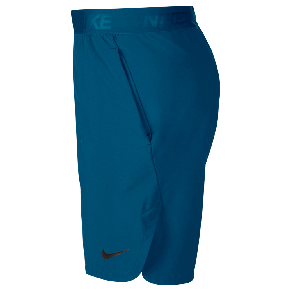 Nike flex short 2025 vent max 2.0
