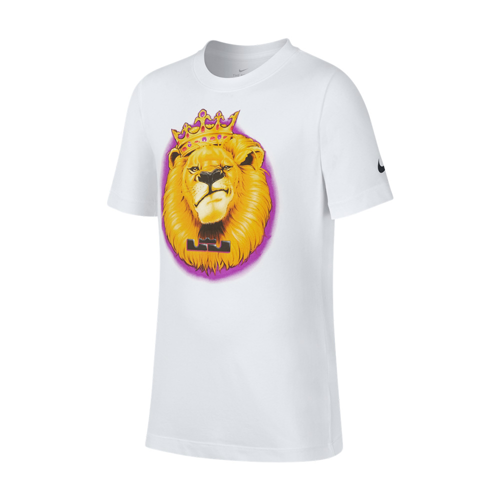 Remera Nike DryFit Lebron Lion | Dexter