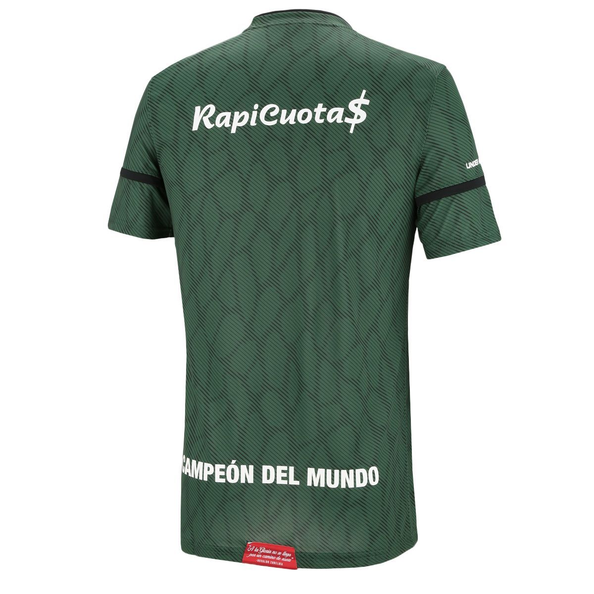 Camiseta Under Armour Estudiantes de La Plata GK,  image number null