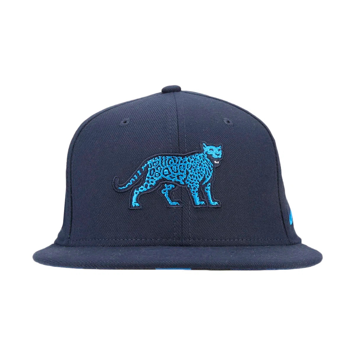 Gorra Nike Uar True Swoosh Flex Rwc,  image number null